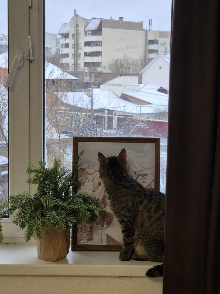 Фото к отзыву Алсу